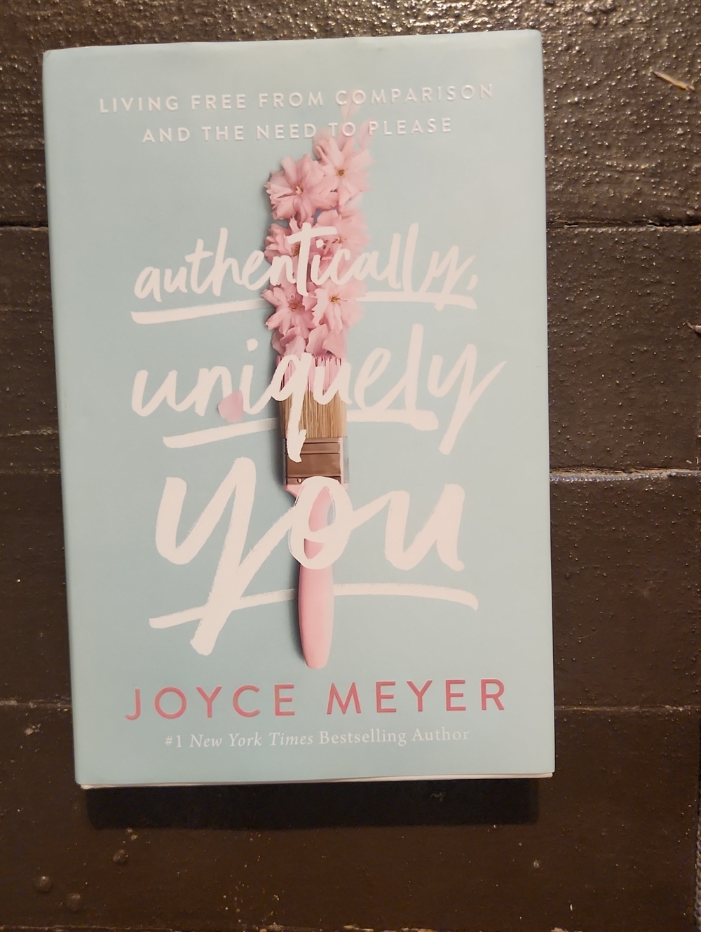 Joyce Meyer "Authentically, Uniquely You" Light Blue Decorative Book Wall Art